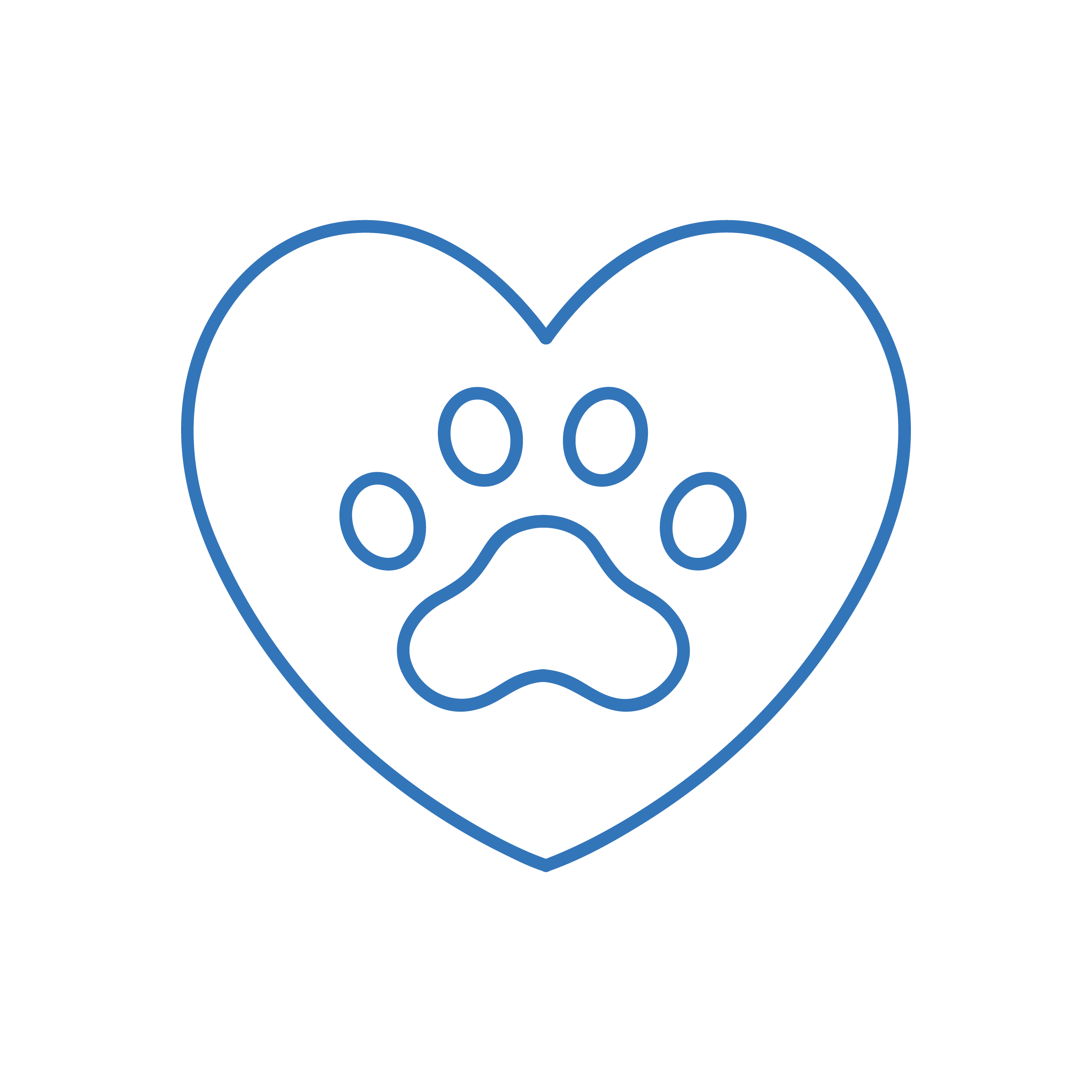 Icona Servizi Cardiologia Veterinaria