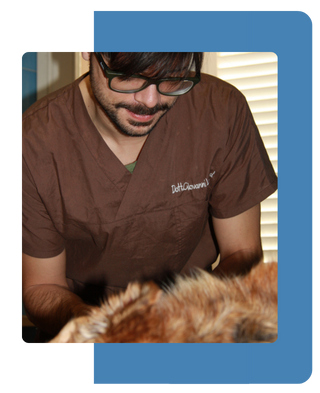 Primo piano di un veterinario dell'Ospedale Veterinario Ardenza con occhiali e barba, camice marrone con ricamo nome Dott. Giovanni Luvera