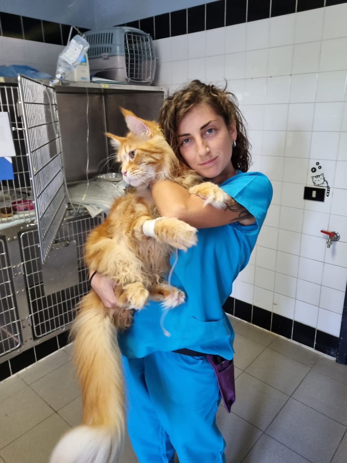 Eleonora Giorgi Tecnico Veterinario dell'ospedale veterinario ardenza